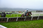 151125-Race 6-Royal Rambler-4108