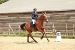 SBM_003604