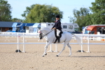 SBM_16834