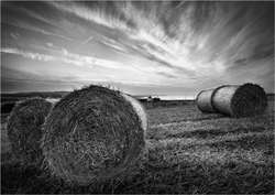 Monochrome portfolio