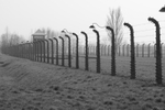 Black and White image of Auschwitz II-Birkenau
