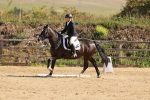 SBM_009888