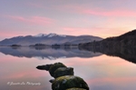 Pink Sunrise