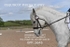 BPP_5645