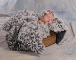 Willow 14