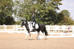 SBM_03623