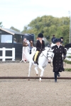 SBM_09954