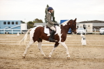 SBM_002569