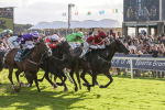 230923-Race 5-Vintage Clarets-5394