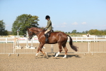 SBM_02241
