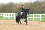 SBM_002537
