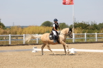 SBM_005050