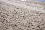 SBM_001454