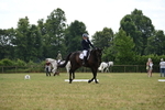 WJ6_6987
