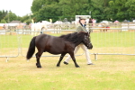 SBM_04323