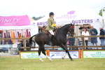 Class 94 - LIHS BSHA Racehorse to Showhorse portfolio
