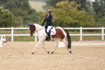 SBM_01476