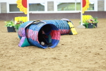 SBM_002384