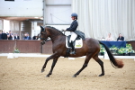 SBM_009764