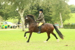 SBM_72003