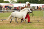 SBM_03510
