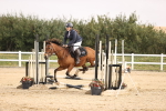 SBM_000446