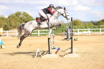 SBM_004775