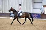 SBM_000803