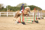 SBM_007341