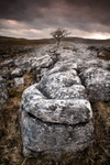 Yorkshire Lime