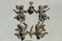 Santa María, façade gable relief, angels with crown