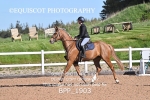 BPP_1903