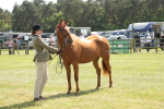 SBM_09092