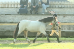 SBM_57389