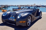 Magnificent Morgan