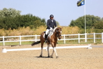 SBM_009295