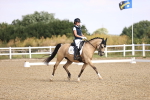 SBM_008539