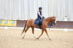 SBM_008396