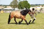 SBM_07159