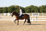 SBM_006972