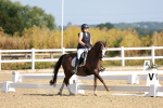 SBM_008393