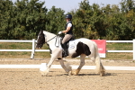 SBM_006550