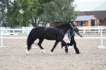 SBM_23293