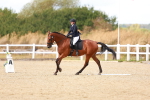 SBM_011806