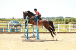 SBM_006231