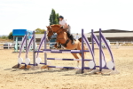 SBM_002990