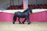 SBM_04989