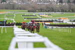 240126-Race 4-Favori De Champdou-6821