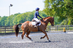 Cullinghood Equestrian Dressage 18.05.24 portfolio