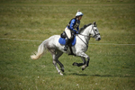 BVHT 140517  IXC -497